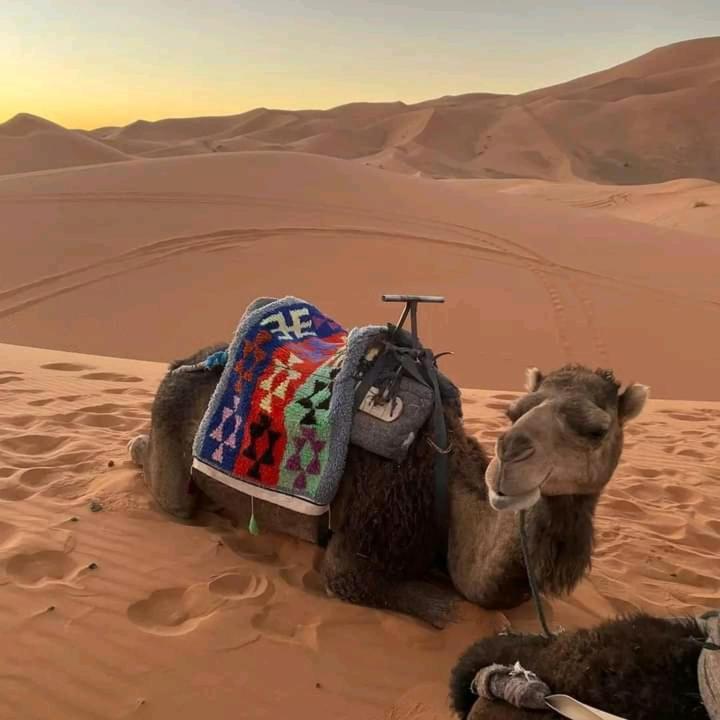 Готель Kasbah Ait Arbi Ait Ougliff Екстер'єр фото