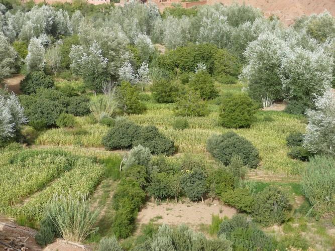 Готель Kasbah Ait Arbi Ait Ougliff Екстер'єр фото